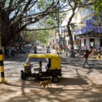 ಆಟೋ ಕರೆಕ್ಷನ್: ಸುಮಾವೀಣಾ ಸರಣಿ