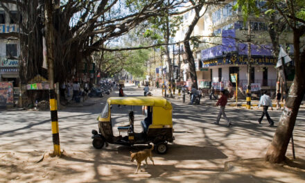 ಆಟೋ ಕರೆಕ್ಷನ್: ಸುಮಾವೀಣಾ ಸರಣಿ
