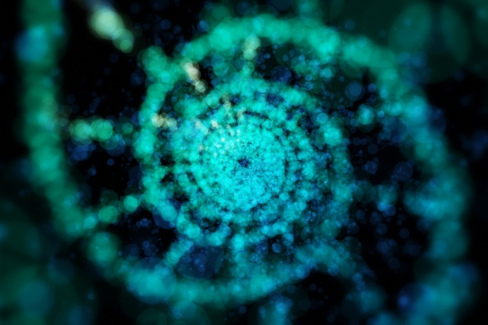 ಜಗತ್ತಿನ ಅತ್ಯಂತ ಸುಂದರ ಫೋಟೋ(2):ಶೇಷಾದ್ರಿ ಗಂಜೂರು ಸರಣಿ